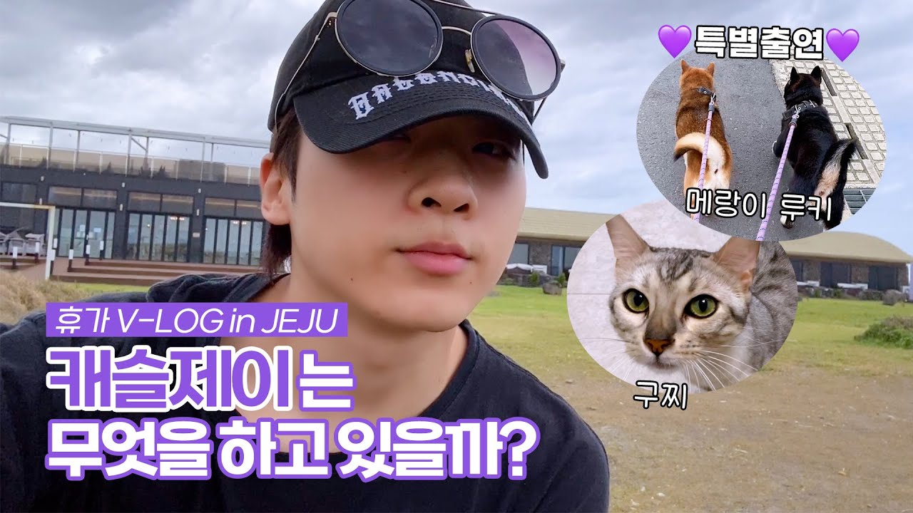 [MCND-LOG 44] 캐슬제이 브이로그👑 in JEJU🍊캐슬제이는 무엇을 하고 있을까?