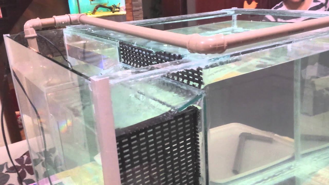 Aquário de 230 Litros com sump lateral embutido ART POINT FISH