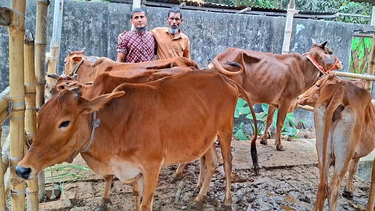 @আজ ১৩ মার্চ