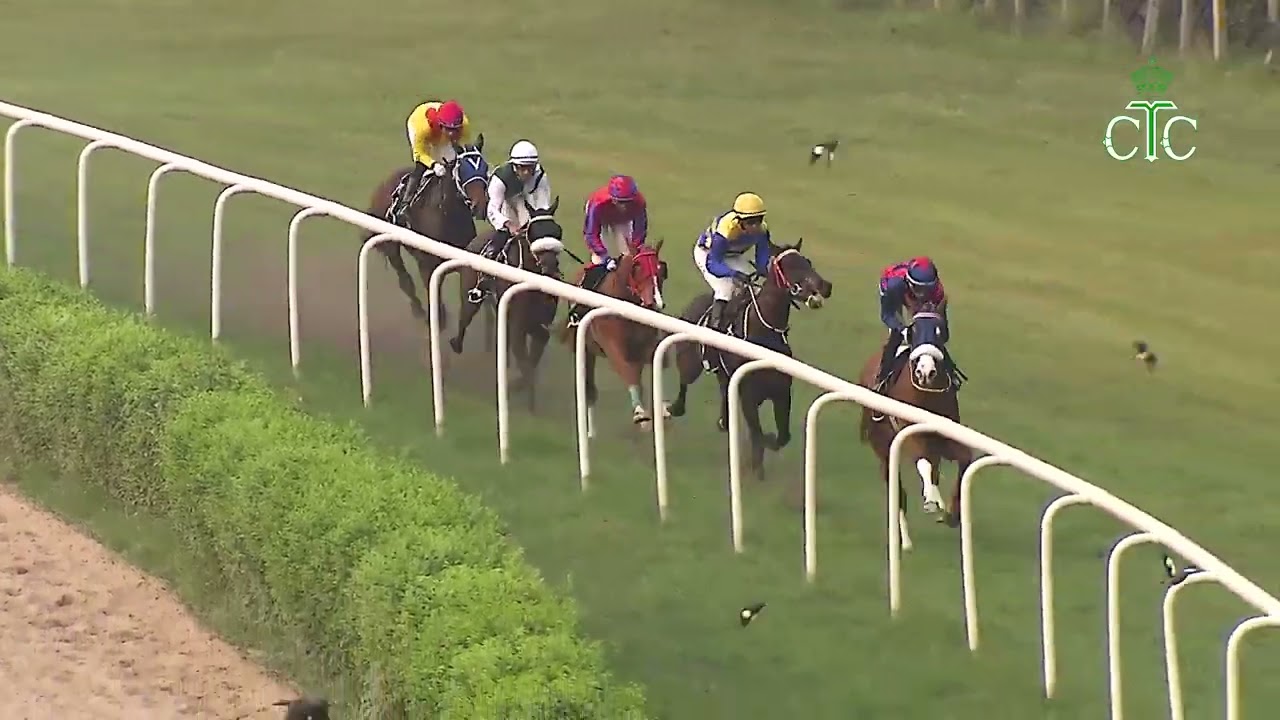 DIVINE GIFT побеждает в скачках Dare To Dream Handicap.