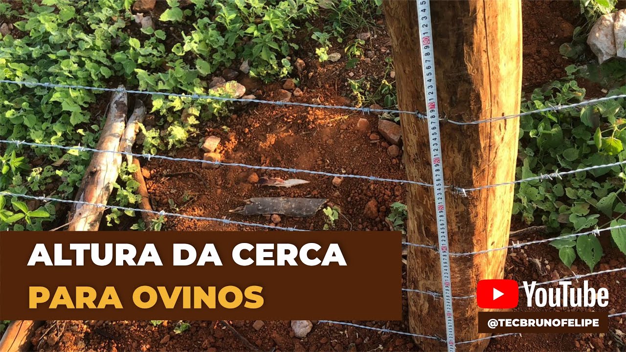 ALTURA DA CERCA PARA OVINOS
