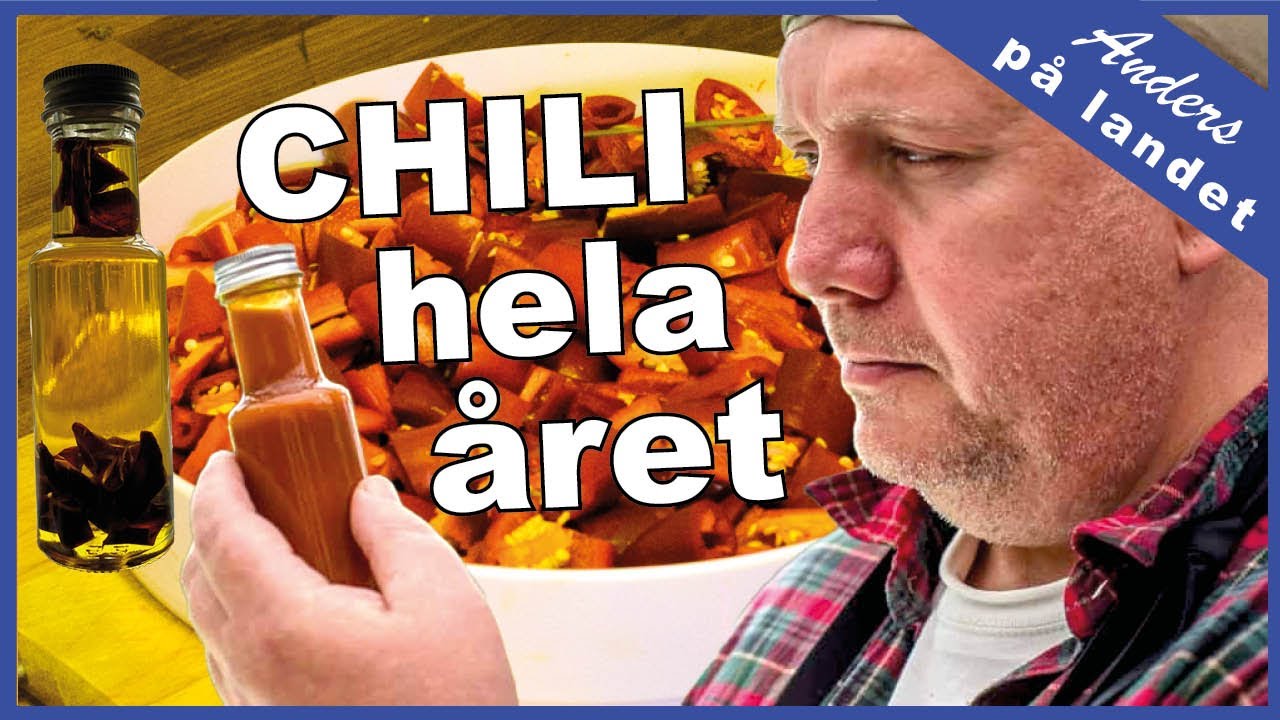 Så får du egenodlad chili året runt