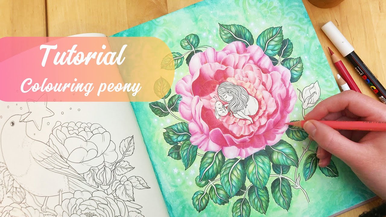 How to color flowers with colored Pencils 🌸| Polychromos | Colouralong Shooting Star Maria Trolle