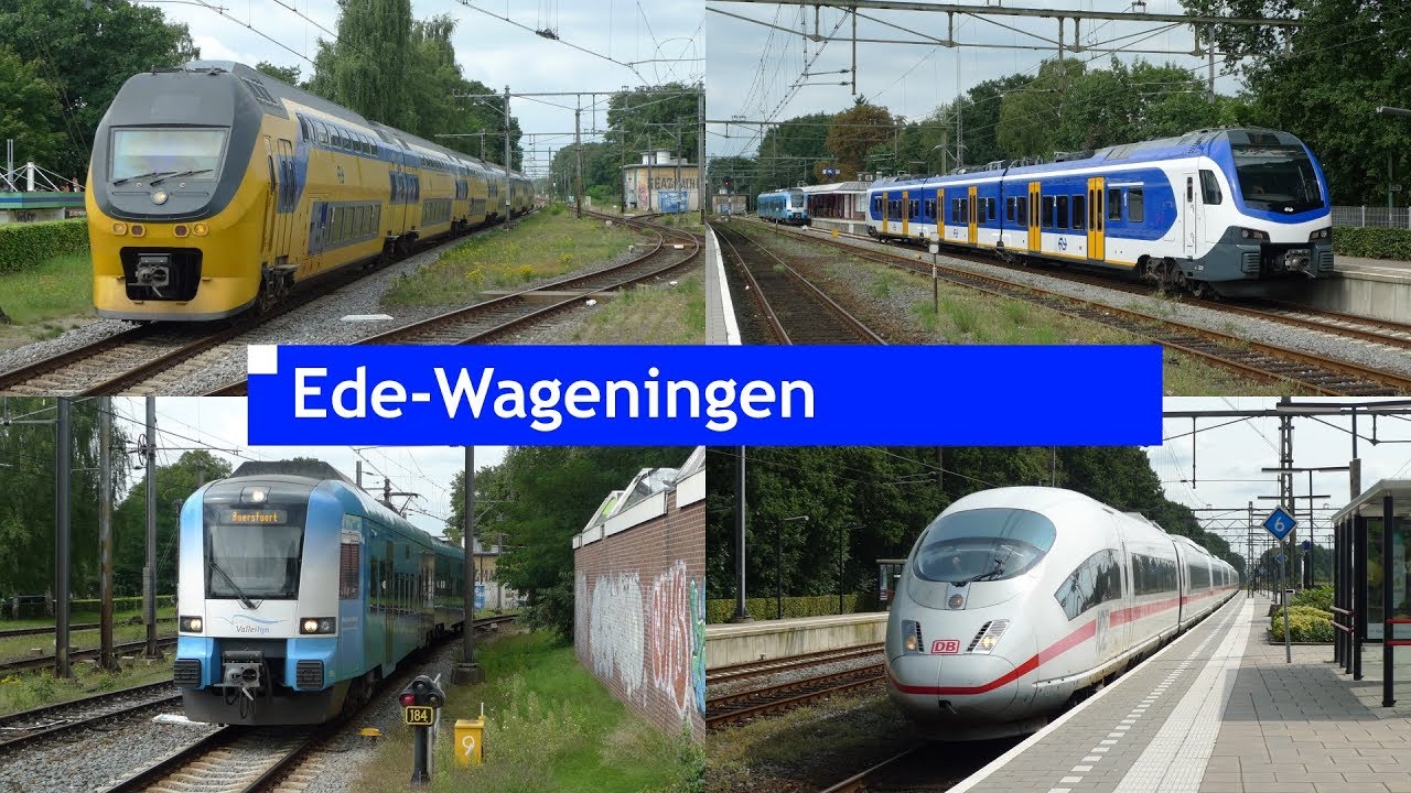 Treinen op station Ede-Wageningen // 21 augustus 2017