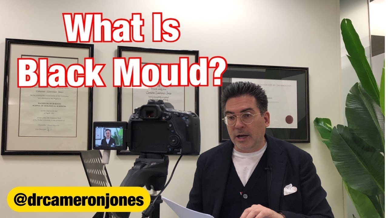 What Is Black Mould?