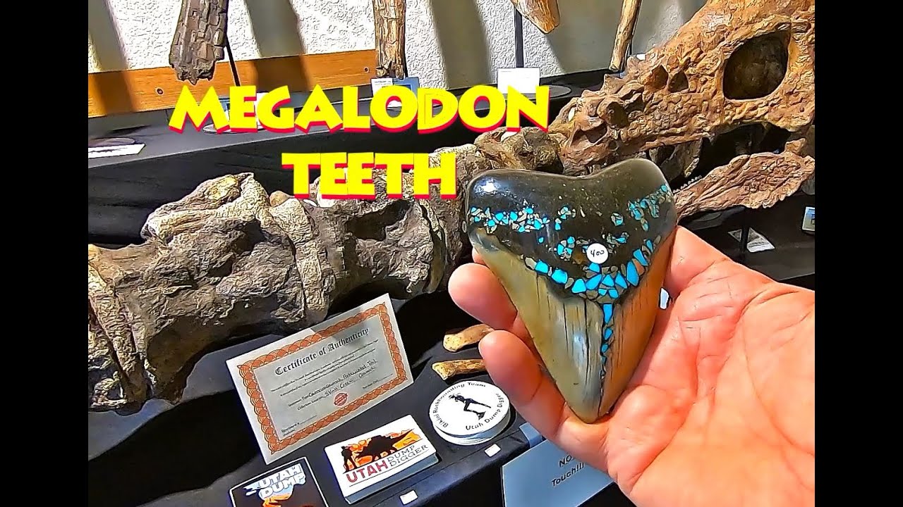 Phenomenal Crystal Thrones & Dino Bones - Tucson Gem, Mineral & Fossil Show 2025