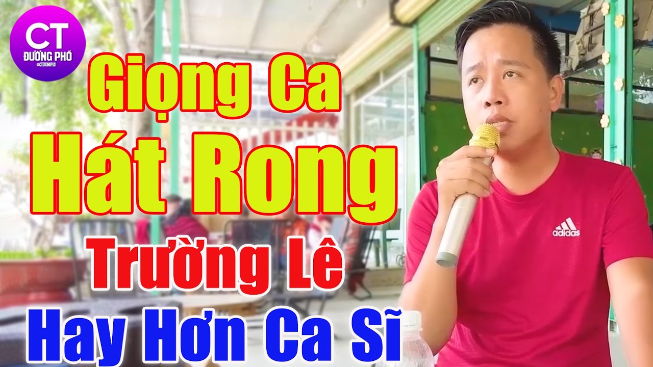 LK Trường Lê Mới Nhất 2026, LK Trường Lê Hát Rong Hay Nhất 2026 - LK Những Đồi Hoa Sim