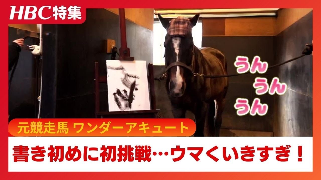 元競走馬「ワンダーアキュート」が“書き初め”に挑戦!書いた文字は縁起がいい「●●」飛躍の《うま年》がスタート　経済でも大きな変化がある1年に?