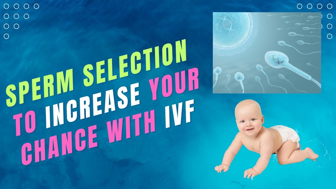 Sperm Selection to Increase Your Chance with IVF
