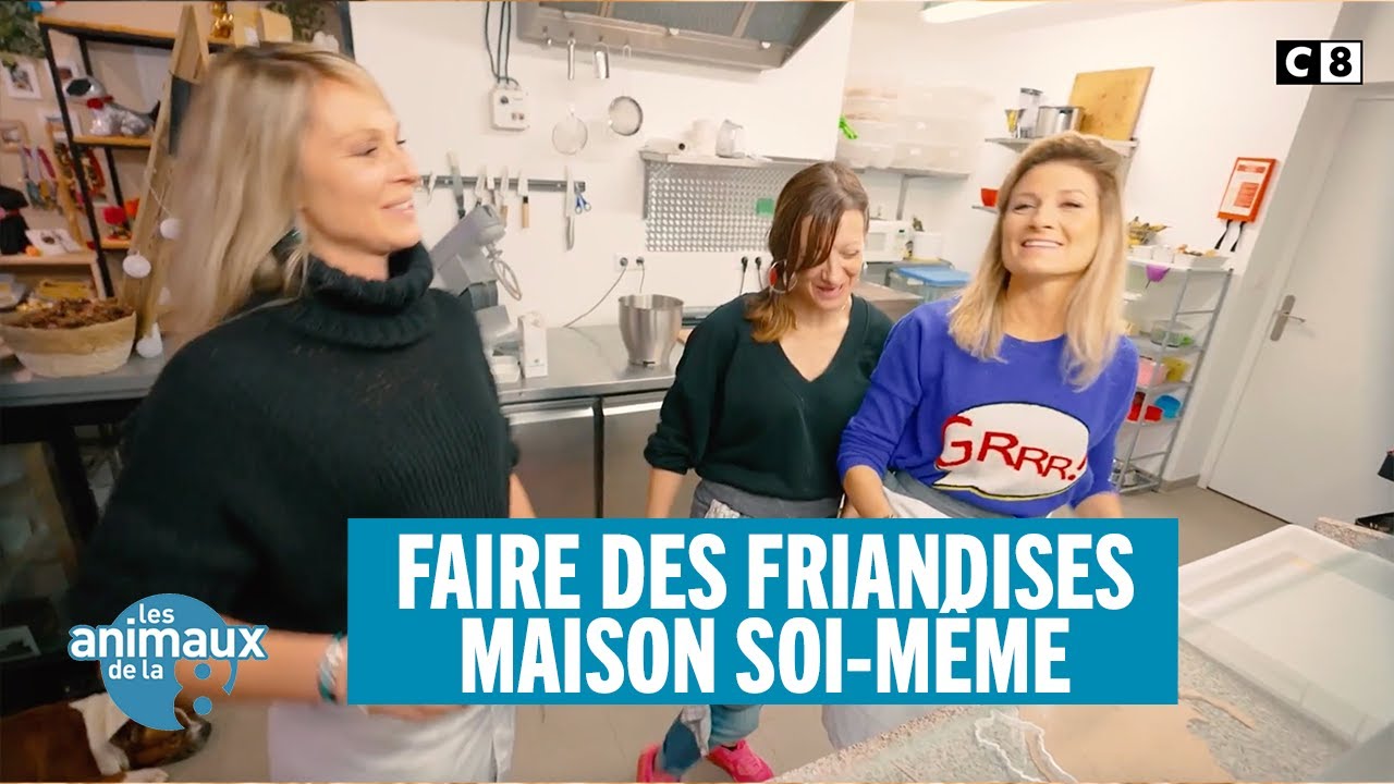 Comment faire des friandises maison pour son chien ?