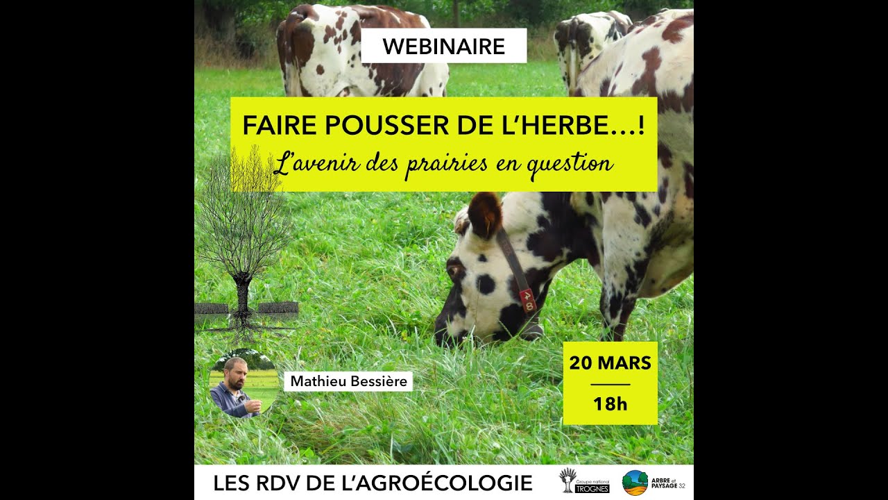 FAIRE POUSSER DE L'HERBE... Les prairies ont-elles un avenir ?