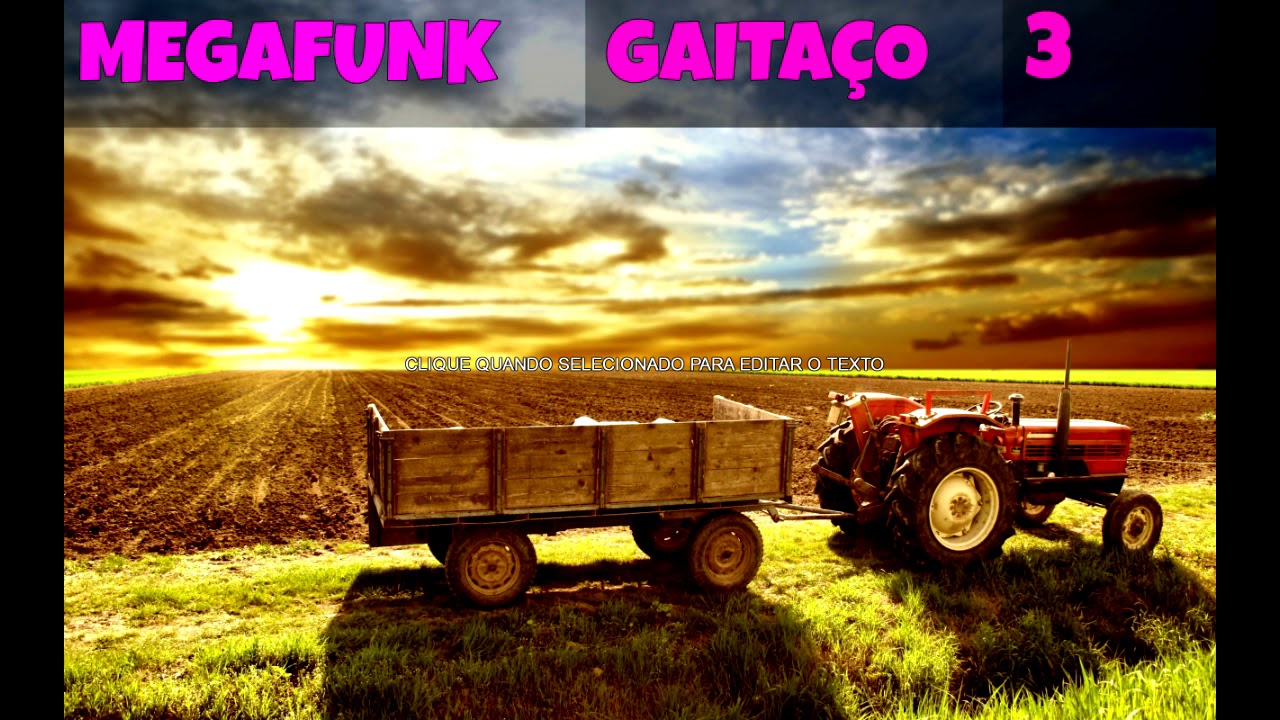 MegaFunk GAITAÇO 3 DJ João Vitor