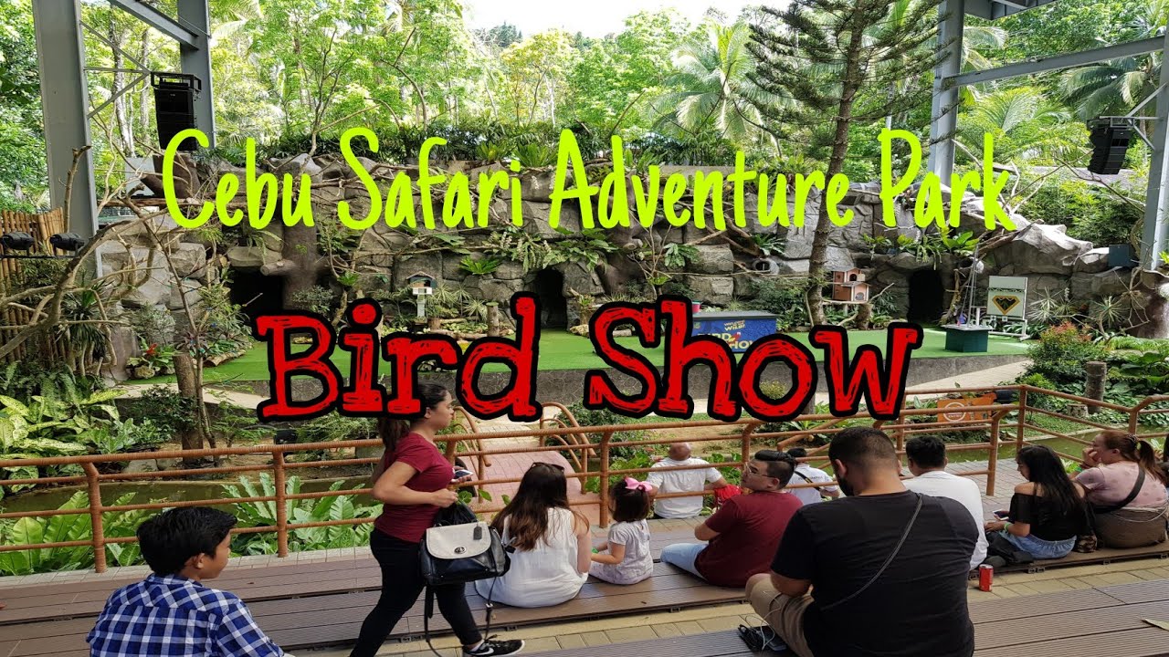 Cebu Safari Adventure Park, Bird Show