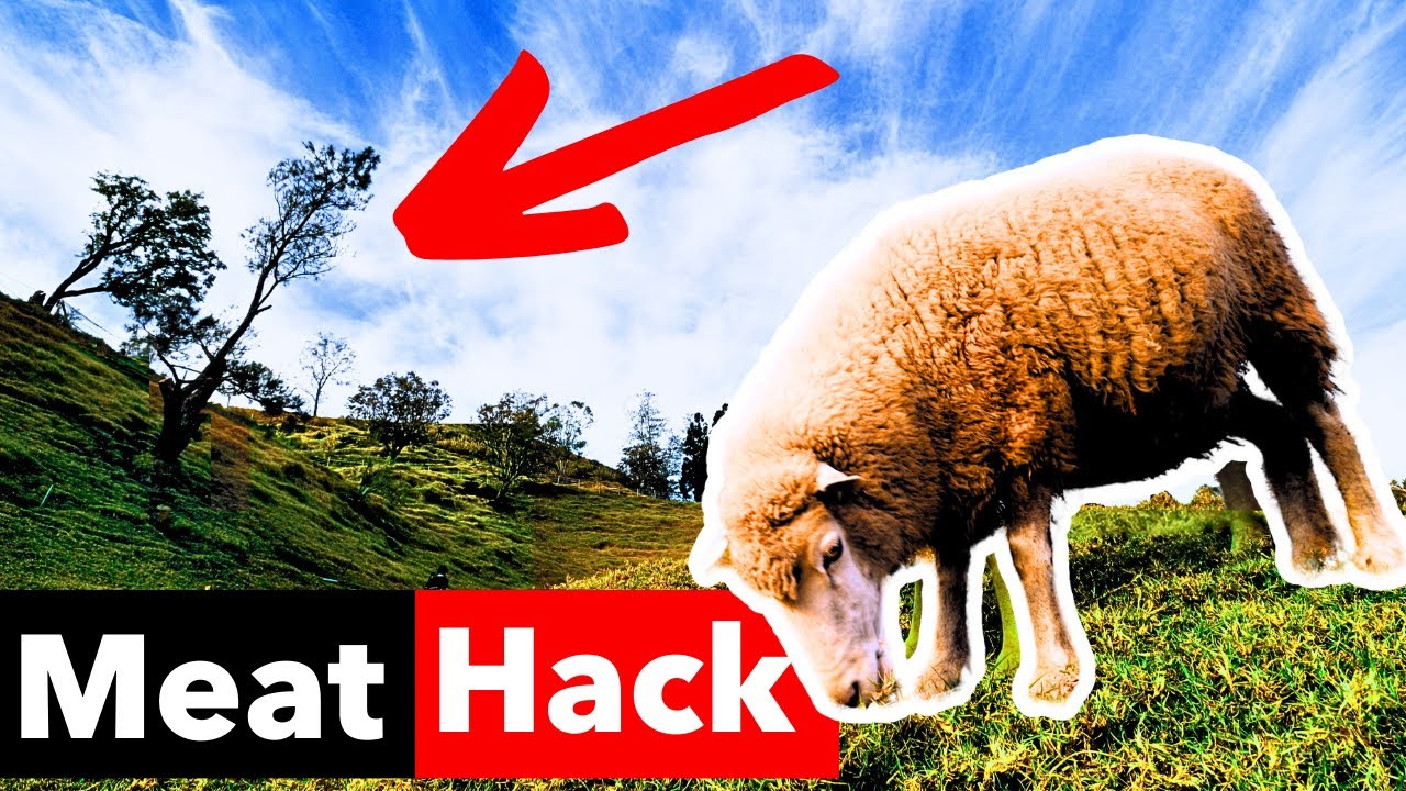 The Shady Hack Behind The Most Flavorful Meats