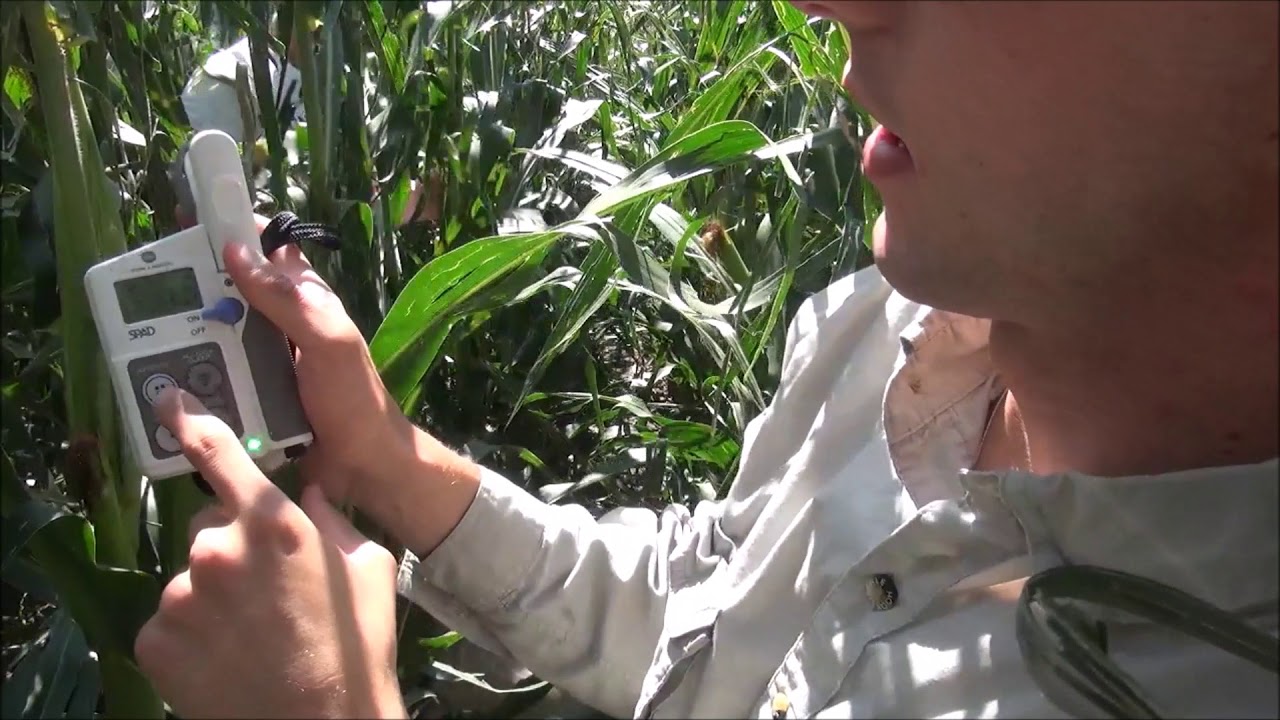 SPAD 502 Plus Chlorophyll Meter: Tutorial