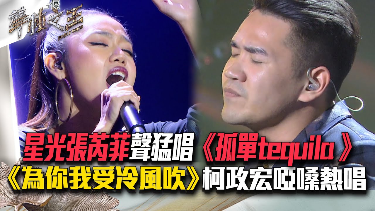 【聲林之王2】EP13 精華｜星光張芮菲聲猛唱《孤單tequila 》 《為你我受冷風吹》柯政宏啞嗓熱唱｜林宥嘉 蕭敬騰 陶喆 Jungle Voice2