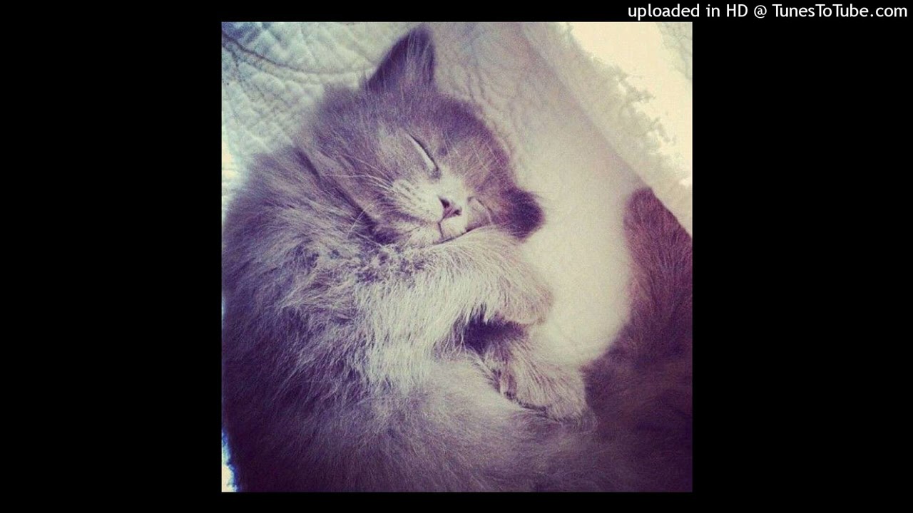 1oneam + che + okaymar type beat