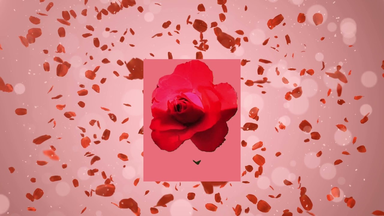 More Than A Dream (Visual Art Love Poem)(6th)