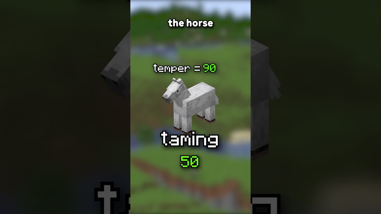 How To Tame A Horse INSTANTLY...