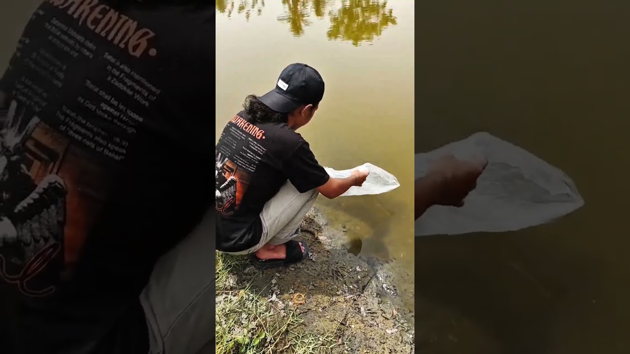 video kegiatan magang syauqi suryeda di koi jangka center