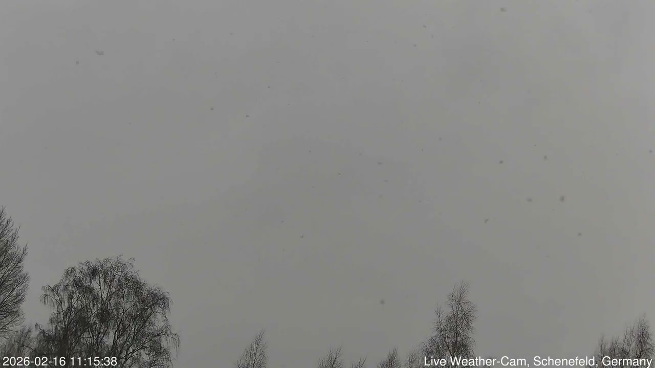 2026-02-16 Schenefeld Wetter