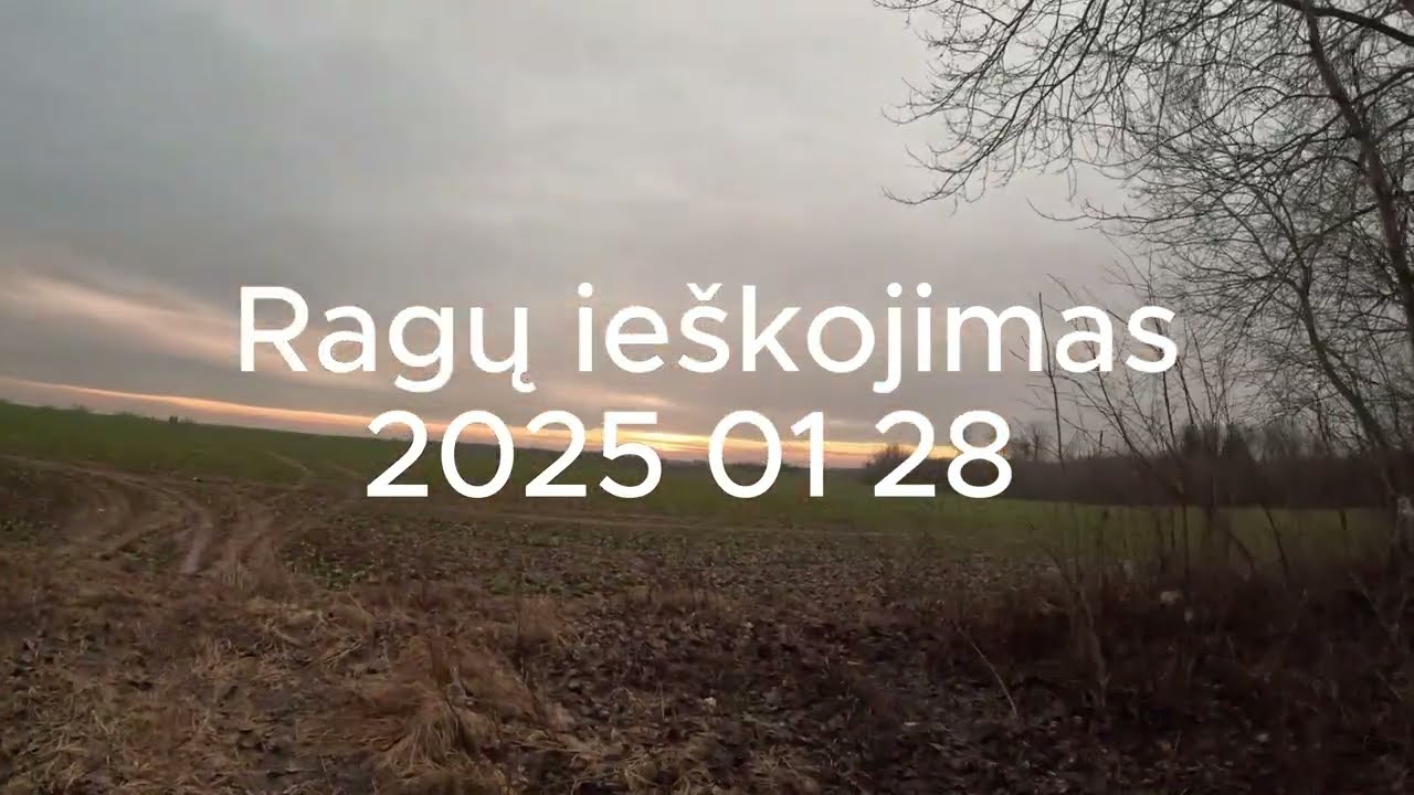 Sezono atidarymas. Elnio ragų ieškojimas 2025 01 28