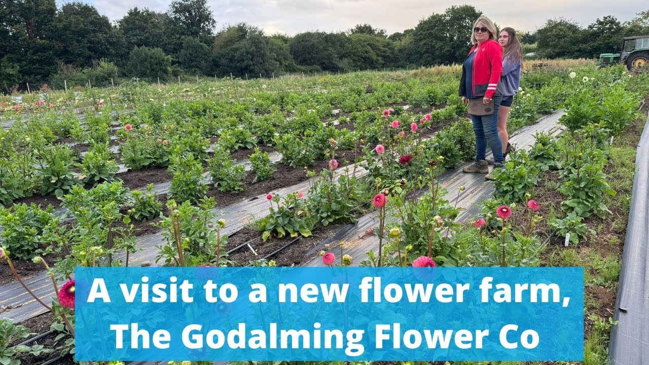 A visit to newly operational Godalming Flower Co - what a success!