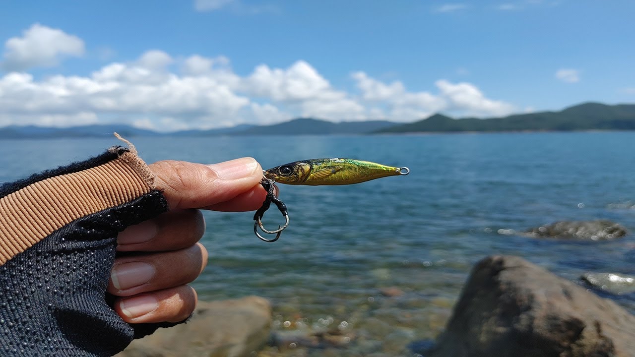 this tiny lure is today's fish favourite!