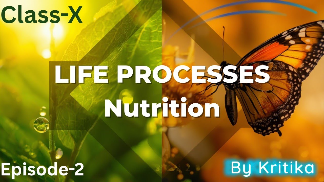 Life processes - Nutrition topic with important questions | Class - X | Part - 2 | By Kritika
