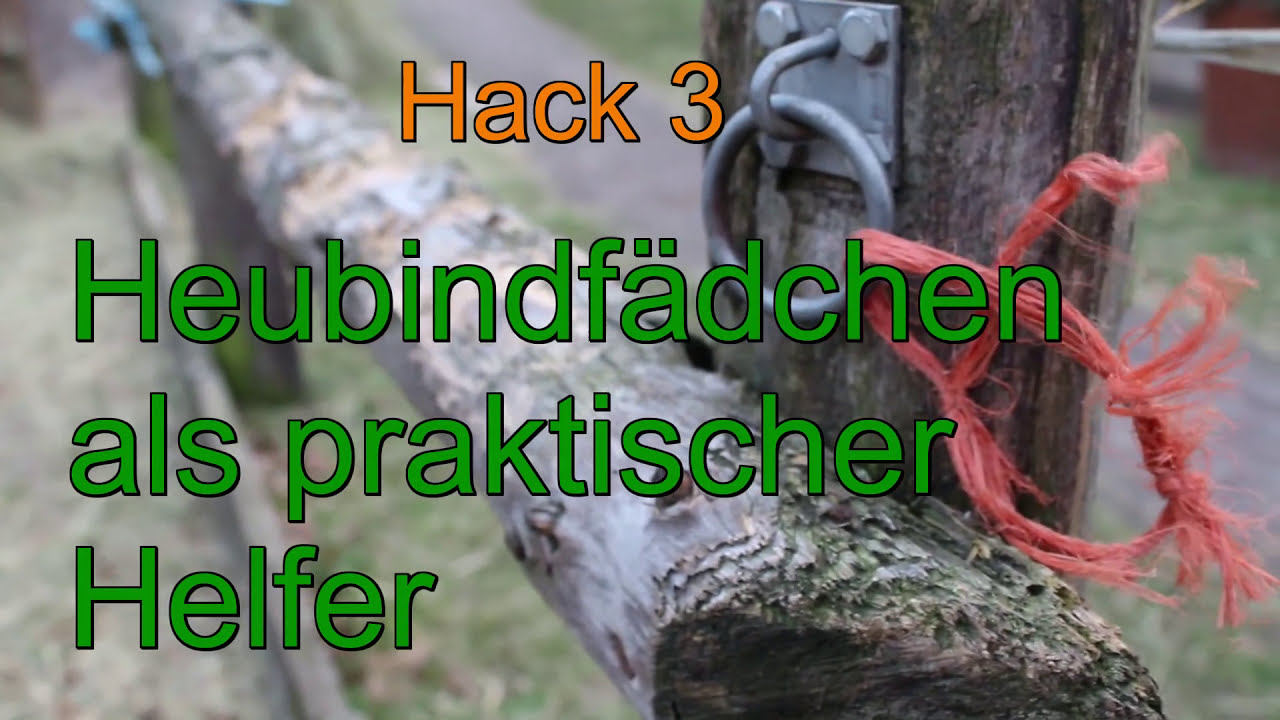 Lifehacks für Pferd&Reiter