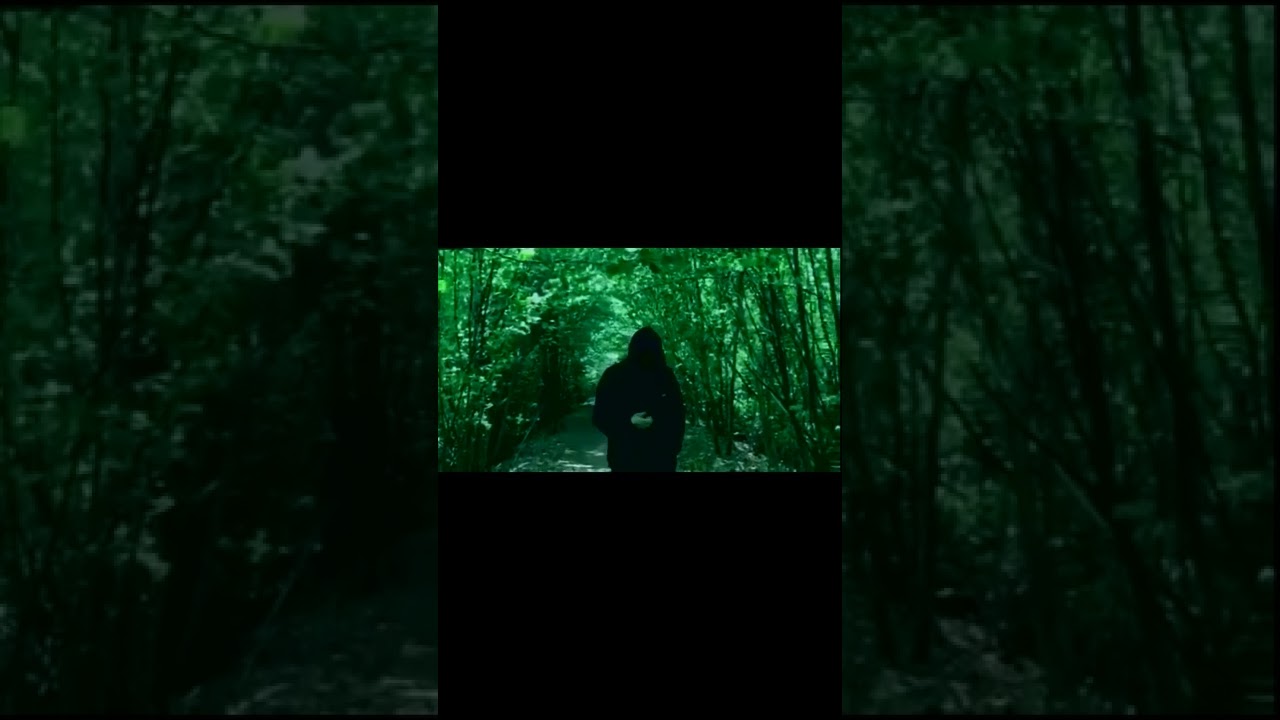 terka sins & sad faces - czarne motyle prod. opium