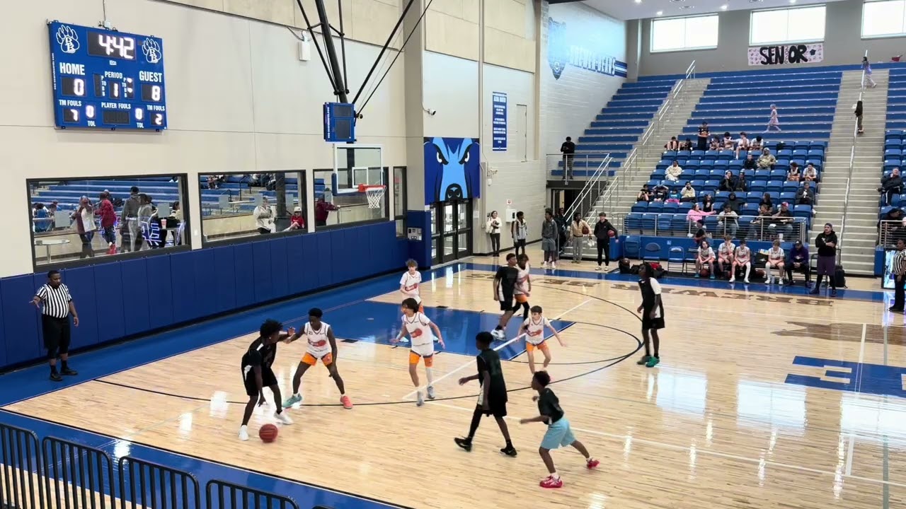 Hoop House Tournament- Inspire White vs BLA Ducks - 01/17/25 - Loss 12-23 