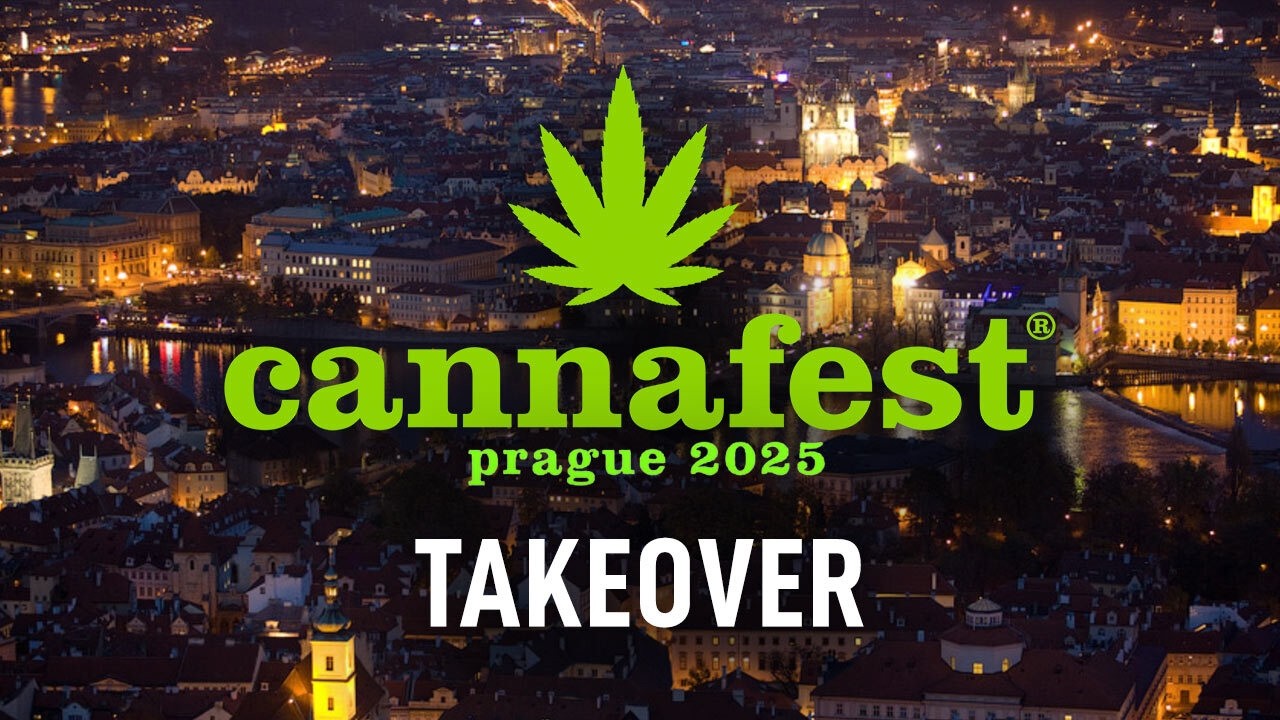🌱 Cannafest Prague: Fast Buds побеждает &mdash; 6 трофеев! 🏆🔥