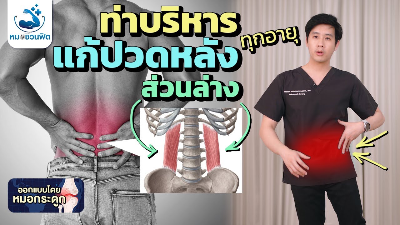 กล้ามเนื้อหลังชั้นลึก (QL) ลดปวดหลังส่วนล่างเรื้อรัง ตั้งแต่วัยรุ่น-ผู้สูงอายุ  #หมอชวนฟิต