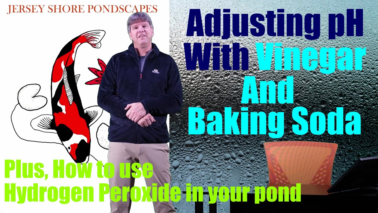 Using Baking Soda And Vinegar To Adjust pH In Your Pond