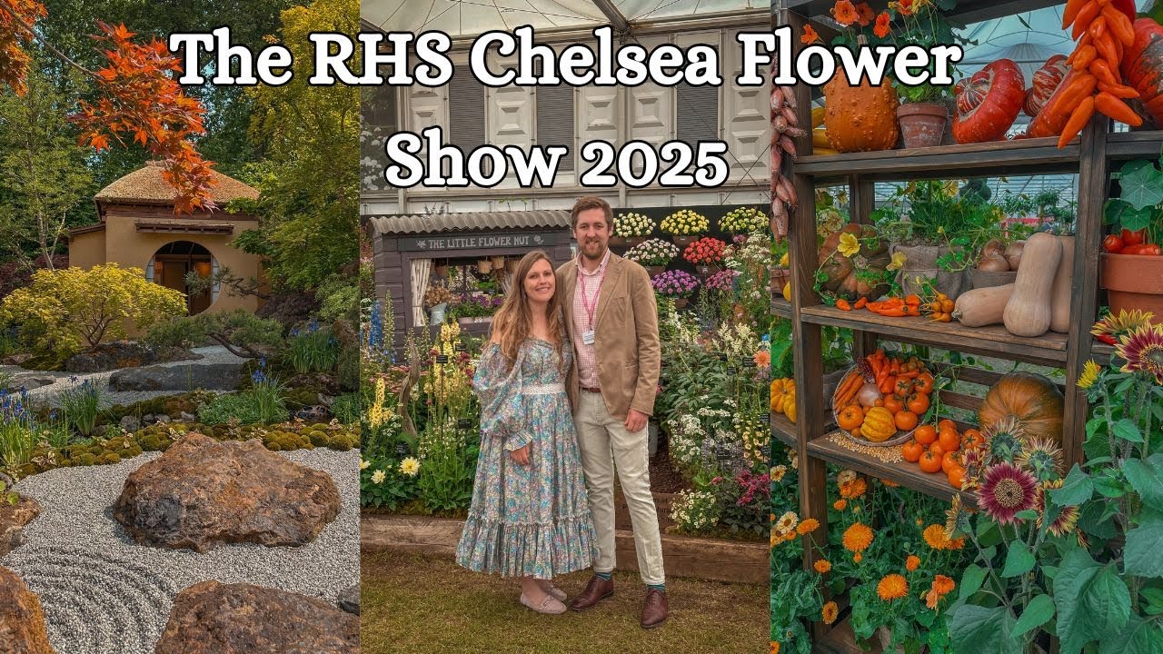 RHS Chelsea Flower Show 2025: Show Gardens | The Great Pavillion | David Austin Roses & MORE 🌹🌸🌿