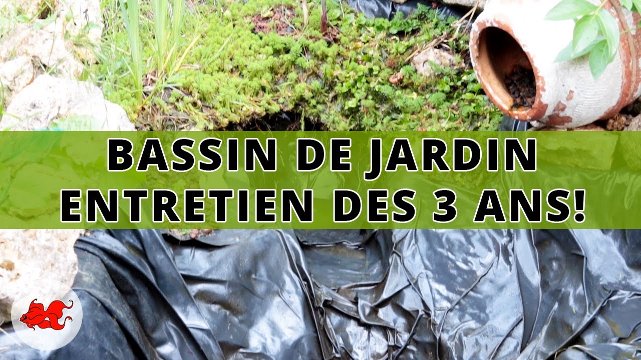 Bassin - Entretien des 3 ans