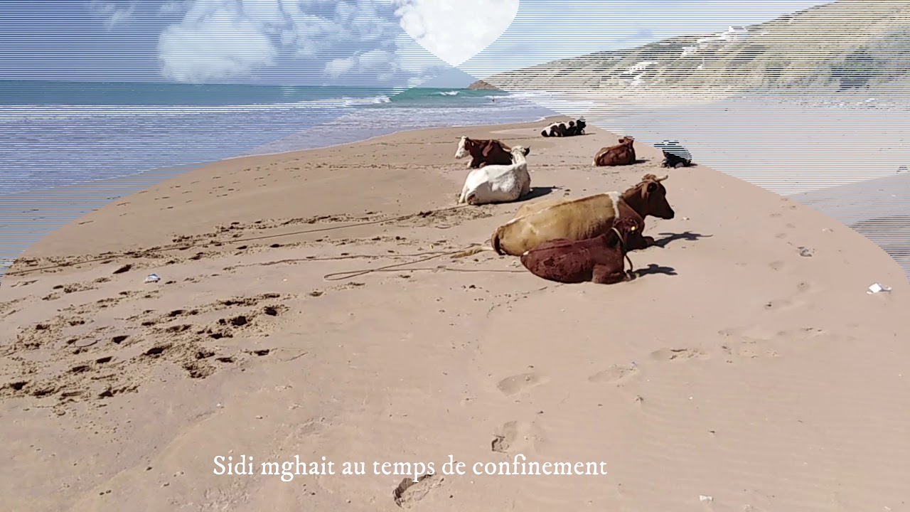 .La Plage de Sidi Mghait et Le Confinement