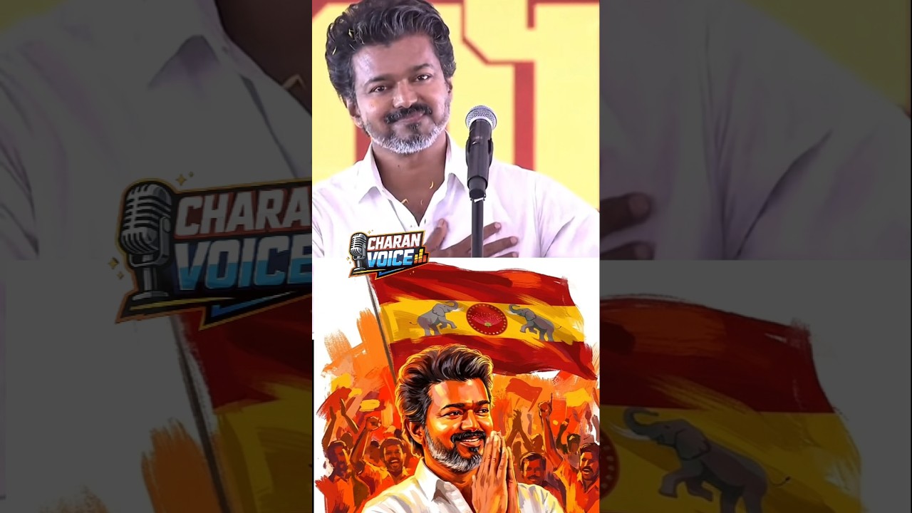 Cinema Celebrities Supports TVK❤️💛|#tvk #thalapathyvijay #tamilshorts