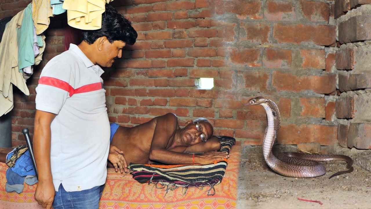 जहरीले नाग की वजह से इस हालत में पहुंच गए बुजुर्ग बाबा जी | देखिए कैसे गुड्डू मौर्य ने नाग को पकड़ा!