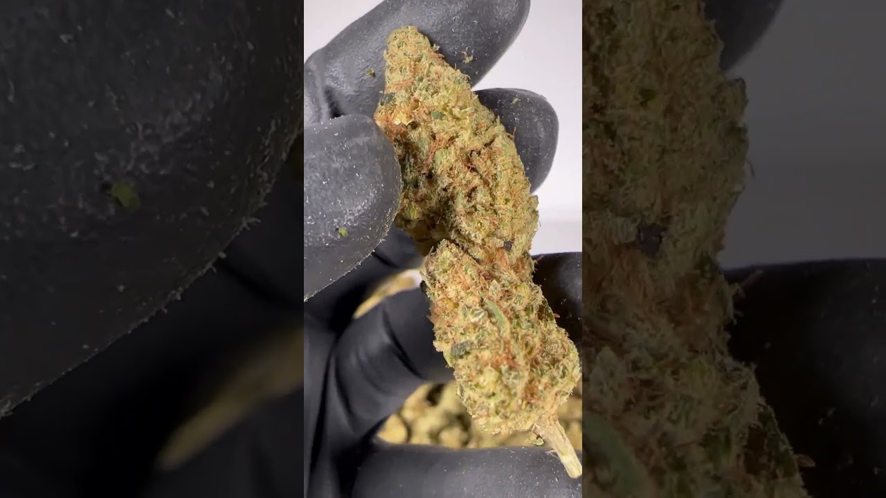 CBD Pineapple - Cannabis Legale