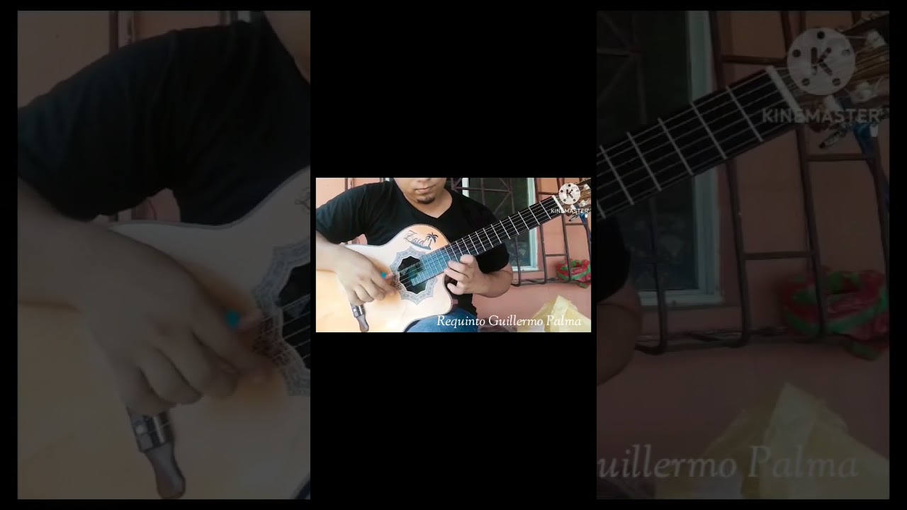 Vals Mentiras #Trio los Brillantes #Guillermo Palma Requintista 🇪🇨