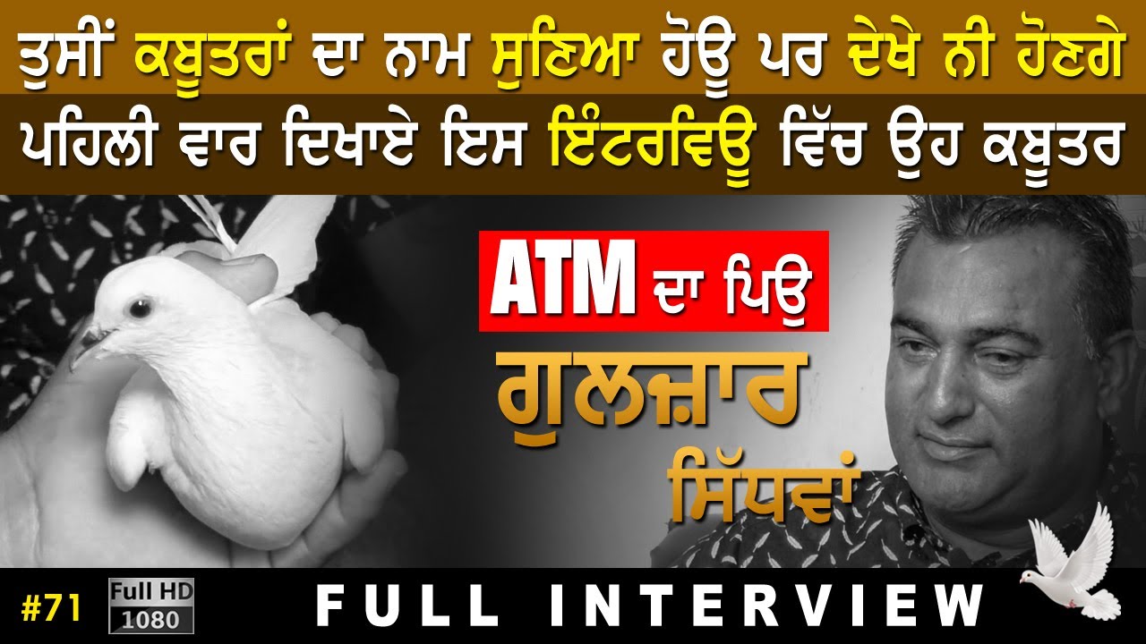 #71 [Full Interview] GULZAR SIDHWAN - ਗੁਲਜ਼ਾਰ ਸਿੱਧਵਾਂ | Top Kabootar Baaz کبوتر بازی कबूतर बाज़ 2021