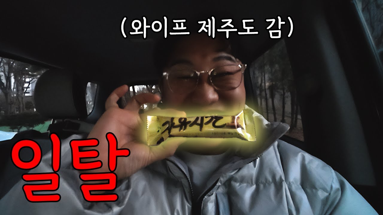 와이프 제주도 가자마자 신나보기