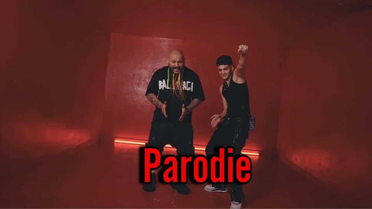 Dani Mocanu ft. abi - Big Boss (PARDOIE)