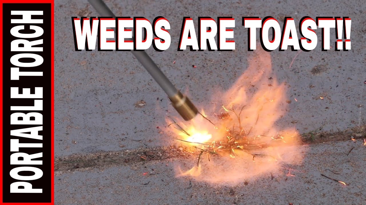 WEED TORCHING TOOL COMPARISON- MR HEATER vs MAG-TORCH UTILITY TORCH