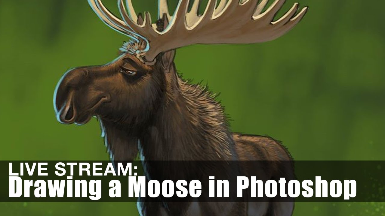 Live Stream - It's MOOSE DAY!!! Drawing A Moose