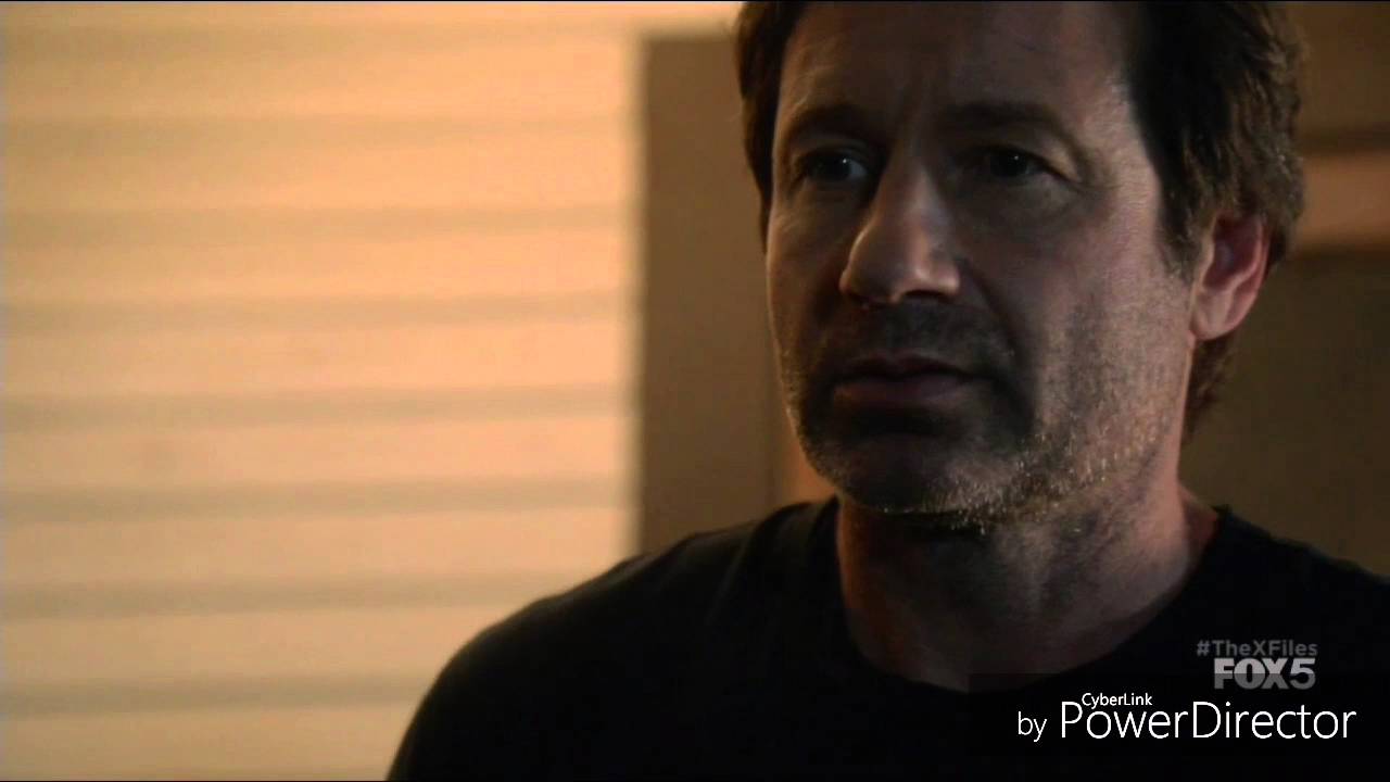 Mulder, my struggle II. Far away