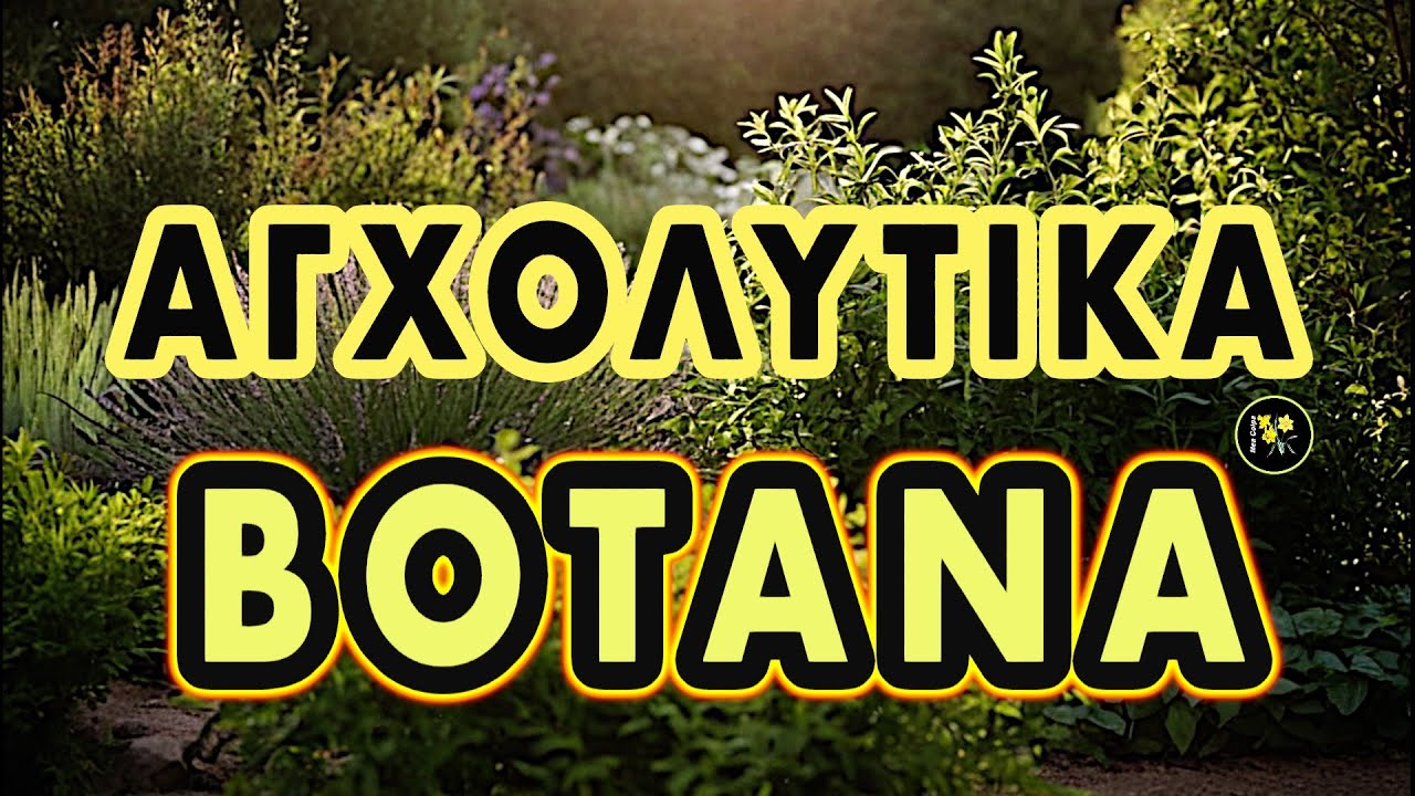 &Alpha;&gamma;&chi;&omicron;&lambda;&upsilon;&tau;&iota;&kappa;ά &Beta;ό&tau;&alpha;&nu;&alpha;