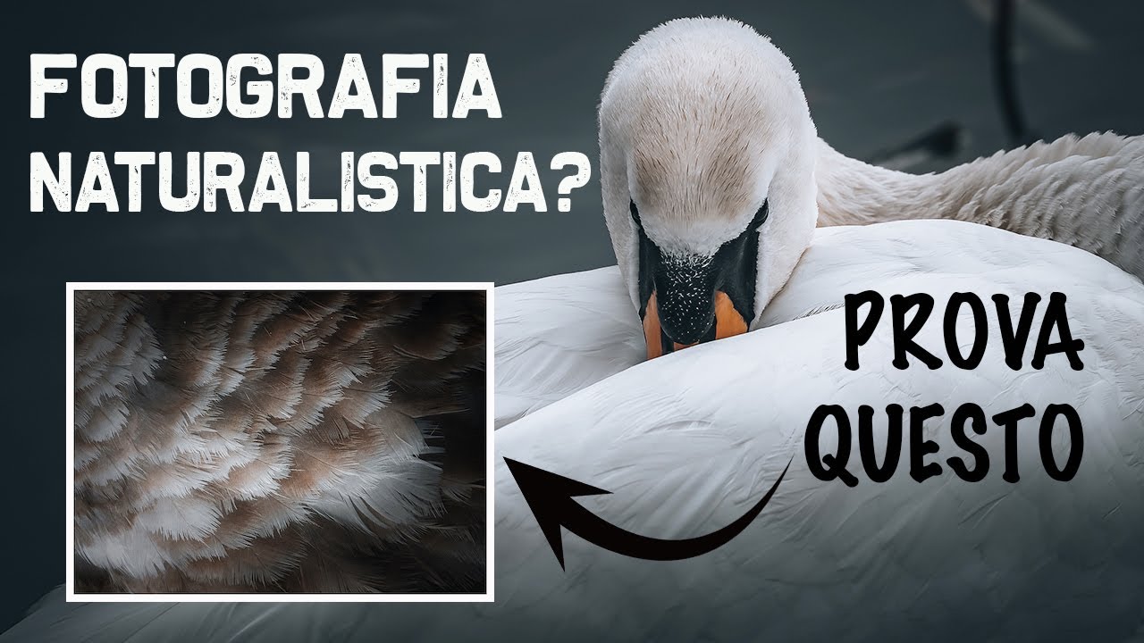 Tra fotografia NATURALISTICA e FINE ART: fotografare in riva al lago